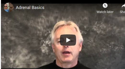 Adrenal Basics (video)