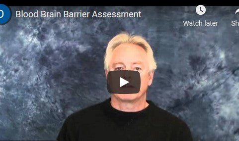 Blood Brain Barrier Assessment (Video)