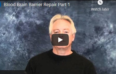 Blood Brain Barrier Repair (video)