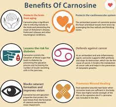 Carnosine Benefits