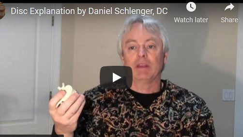 Disc Explanation by Daniel Schlenger, DC