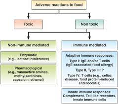 Food Sensitivity Categories part 1