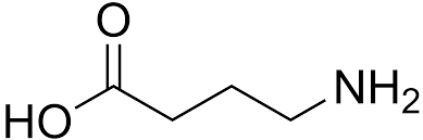 Blood Brain Barrier and Neurotransmitter Supplementation