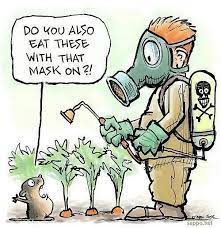 Glyphosate and Chronic Disease (video)