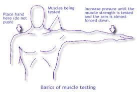 Muscle Testing