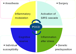 Anesthesia and Dementia and/or Alzheimer's