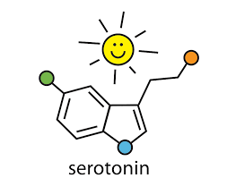 Serotonin Support Basics