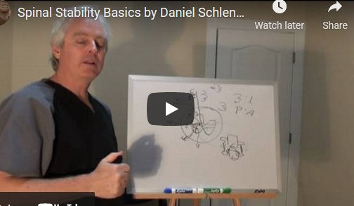 Spinal Stability Basics by Daniel Schlenger, DC (video)