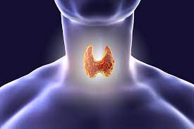 Thyroid Diet and Supplements