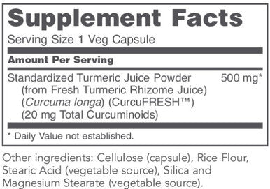 Protocol for Life Balance Curcufresh 500mg