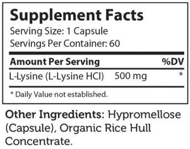 Advanced Nutrition by Zahler L-Lysine 60c