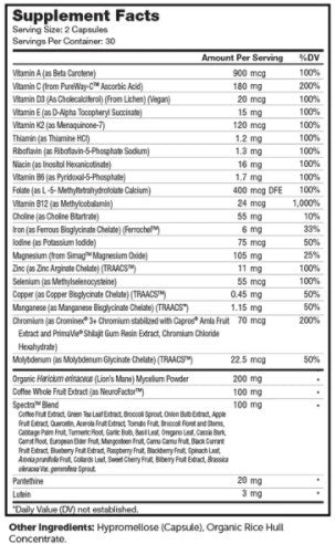 Advanced Nutrition by Zahler Multi Vitamin Brainfood 60c