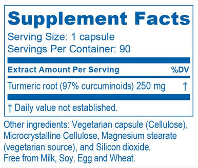 Ayush Herbs Curcumin 97 90vc