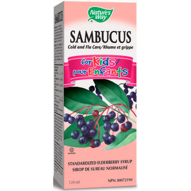 Natures Way Sambucus for Kids berry flavor 4oz